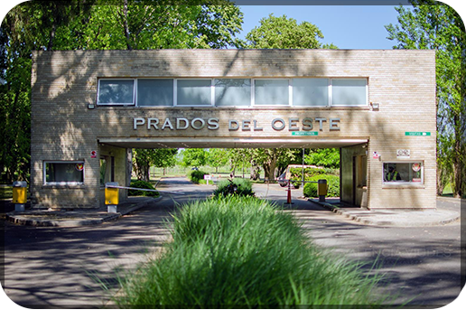 sp 4